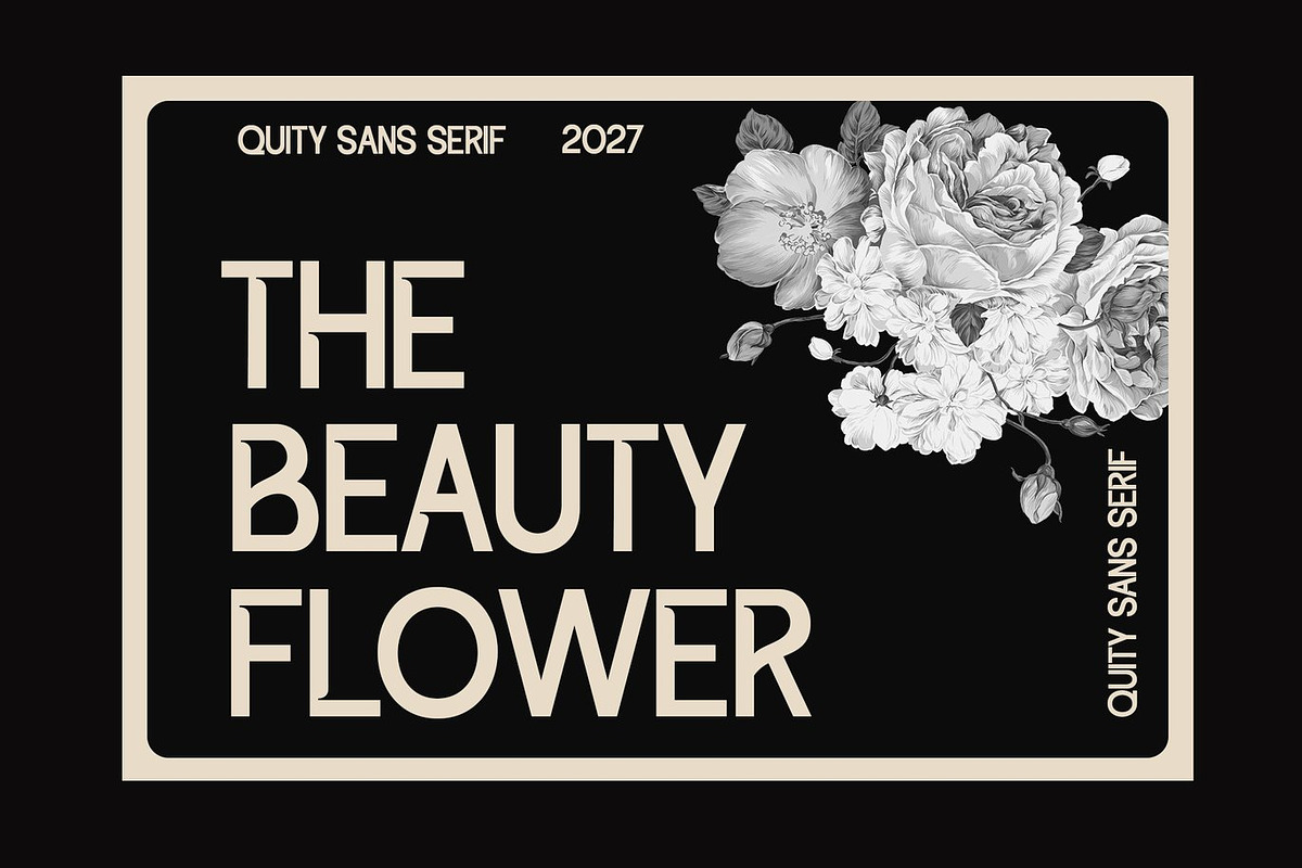 Agile - Sans Serif Display Font, a Sans Serif Font by Luna Shop (Photo 4 of 5)