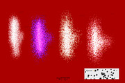 Procreate lips gloss stamps, a Brush Add-On by MajorArtTm (Thumbnail 4 of 4)