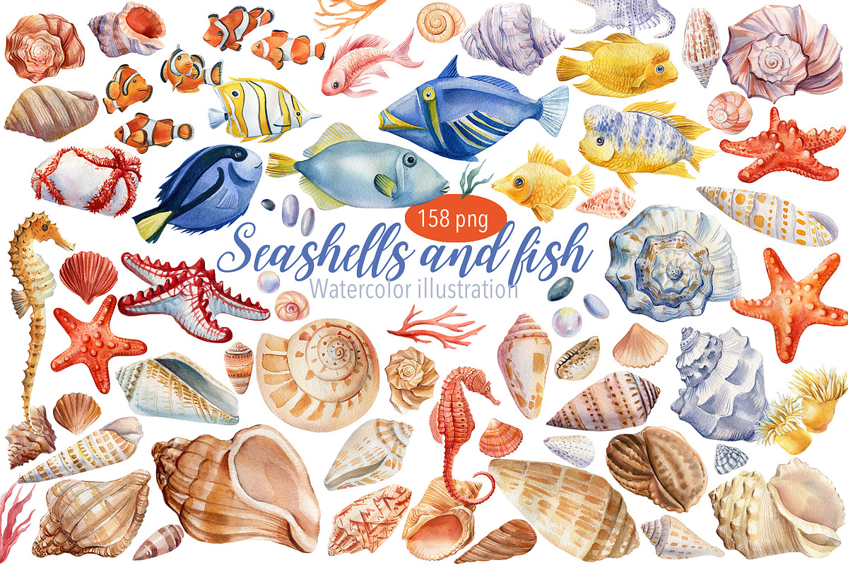 Seashells and fish, watercolor, an Animal Illustration by Hanna Hryharenka (Photo 1 of 20)