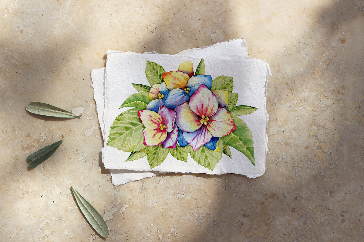 Hydrangea clipart, flower patterns, an Illustration by Artmanata (Photo 14 of 18)