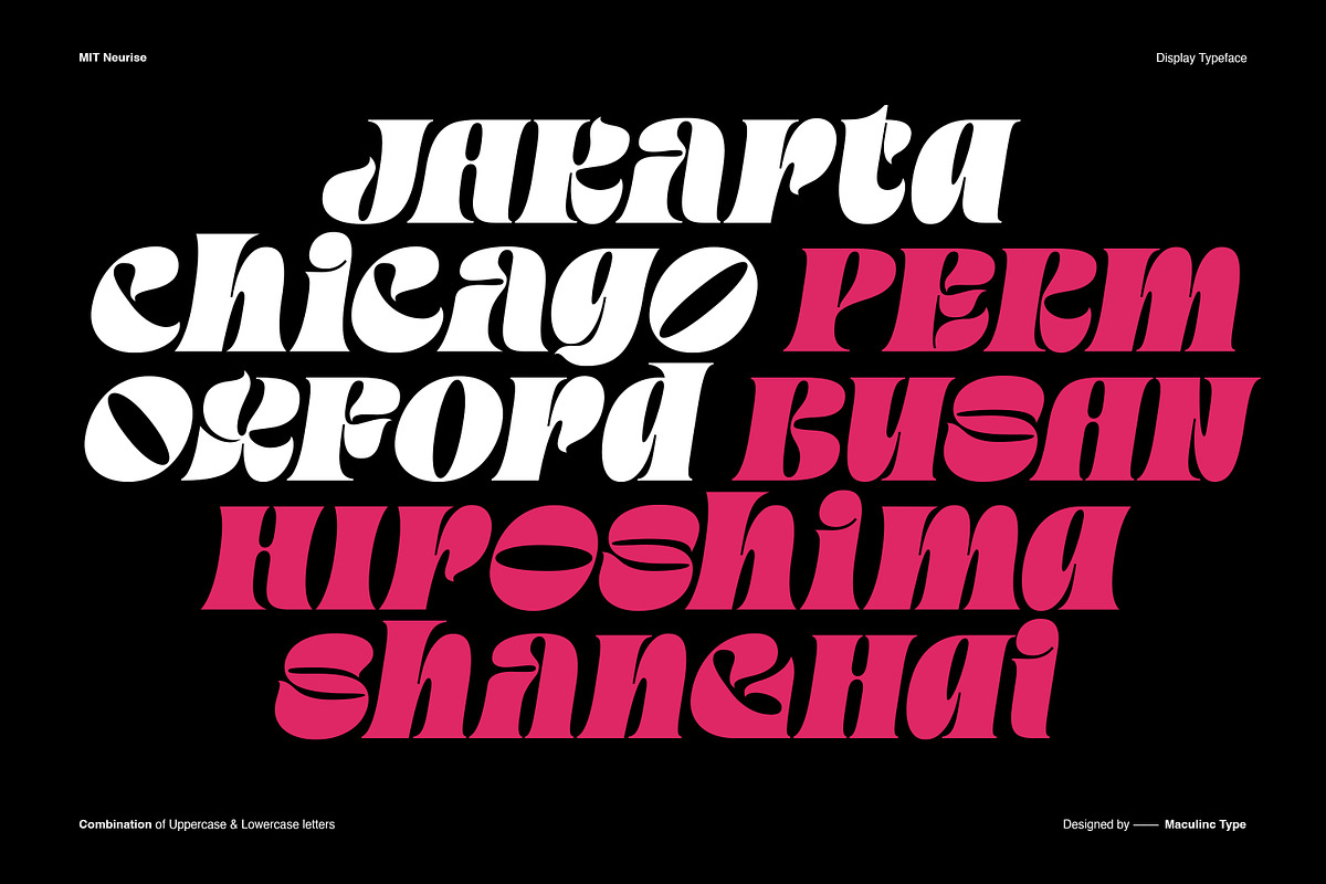 MIT Neurise, a Serif Font by Maculinc Type (Photo 6 of 12)