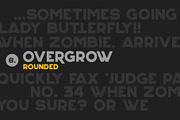 Overgrow Typeface, a Font by Revorklabs (Thumbnail 13 of 16)