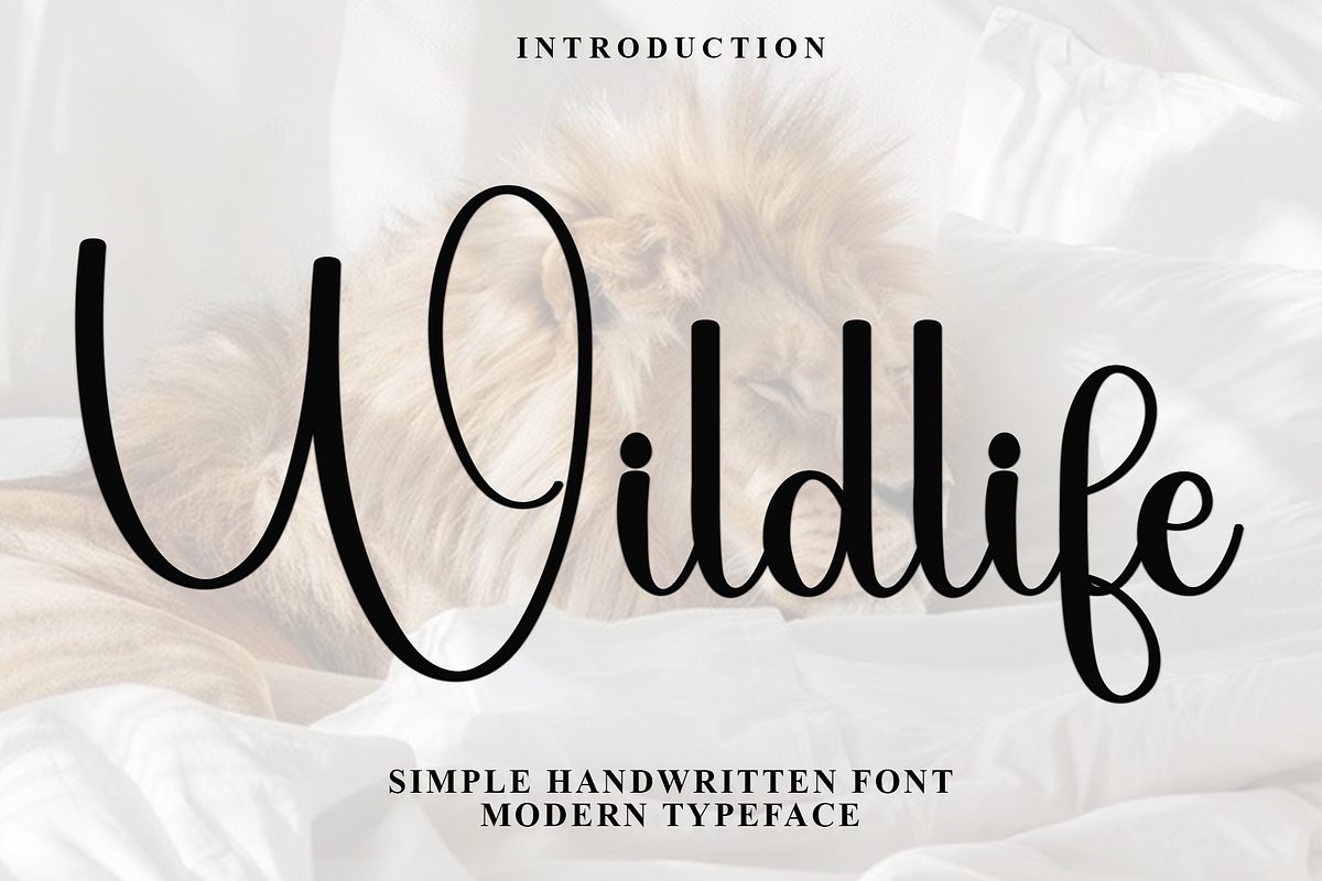 Wildlife, a Handwritten Font by FreshTypeINK (Photo 1 of 7)