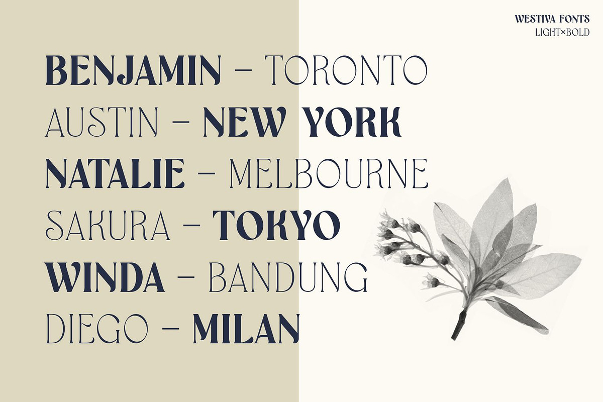 Westiva Fonts Family, a Serif Font by Asenbayu (Photo 3 of 14)