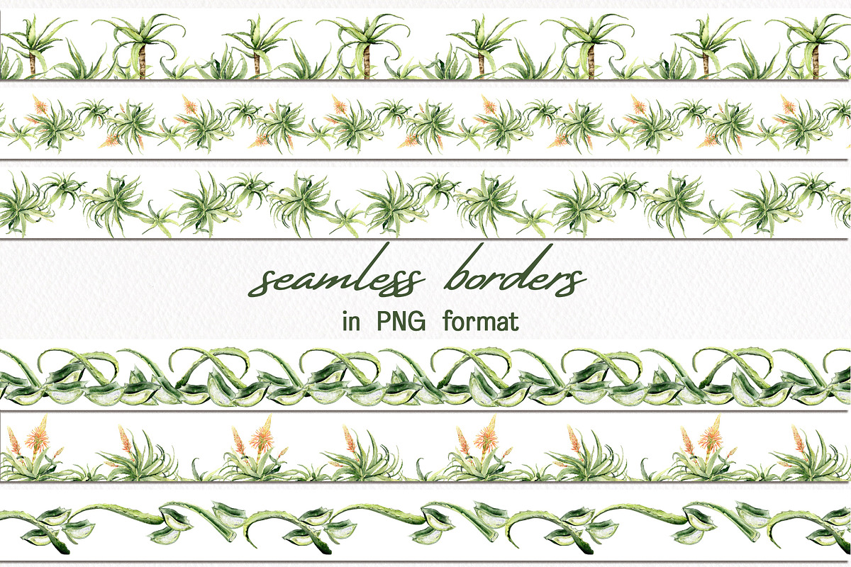 Aloe Watercolor Collection, a Decorative Illustration by WatercolorElena (Photo 7 of 11)