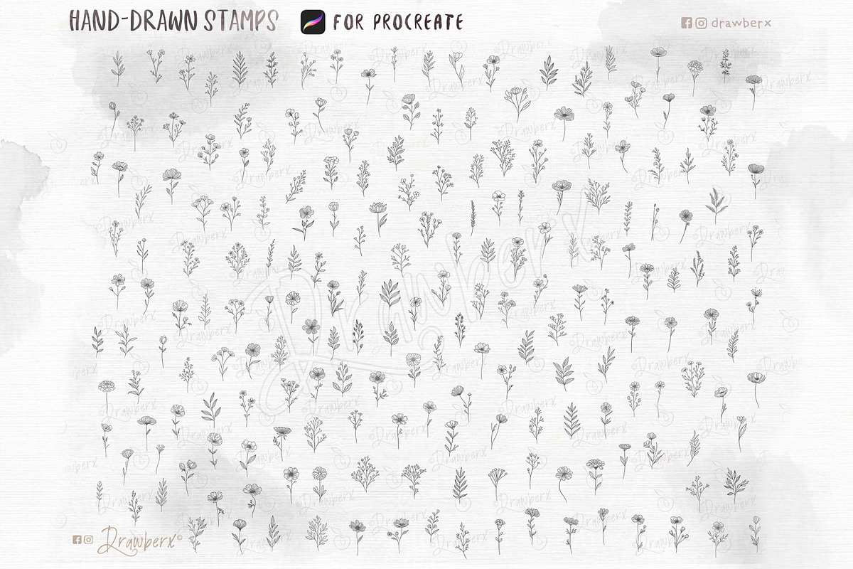 Procreate Stamps Tiny Flowers 026, a Brushes & More by Drawberx (Photo 4 of 10)