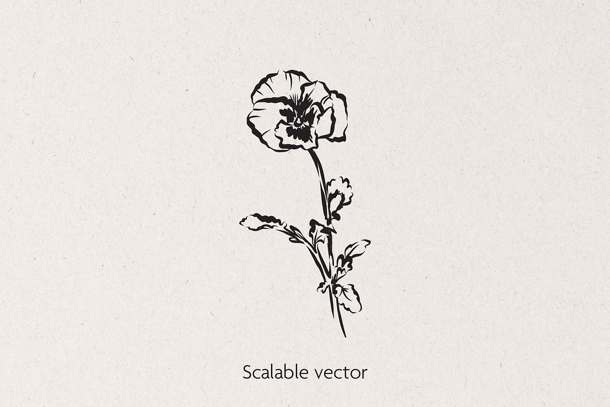 Flowers Vector Bundle, a Decorative Illustration by Little Gremlin (Photo 5 of 9)