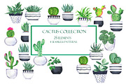 Cactus collection, an Illustration by Watercolor & sketches (Thumbnail 1 of 7)