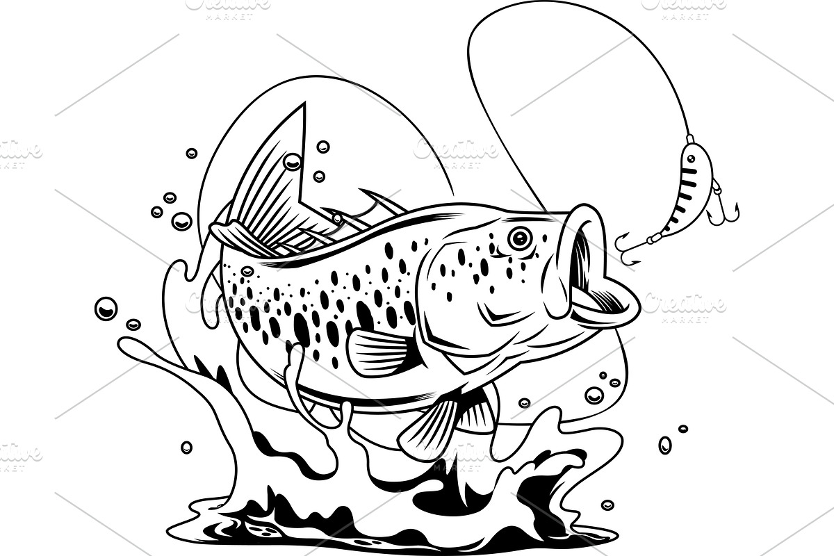 Realistic Bass Fish Character, an Illustration by HitToon