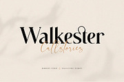 Walkester Font Duo, a Serif Font by BrandSemut