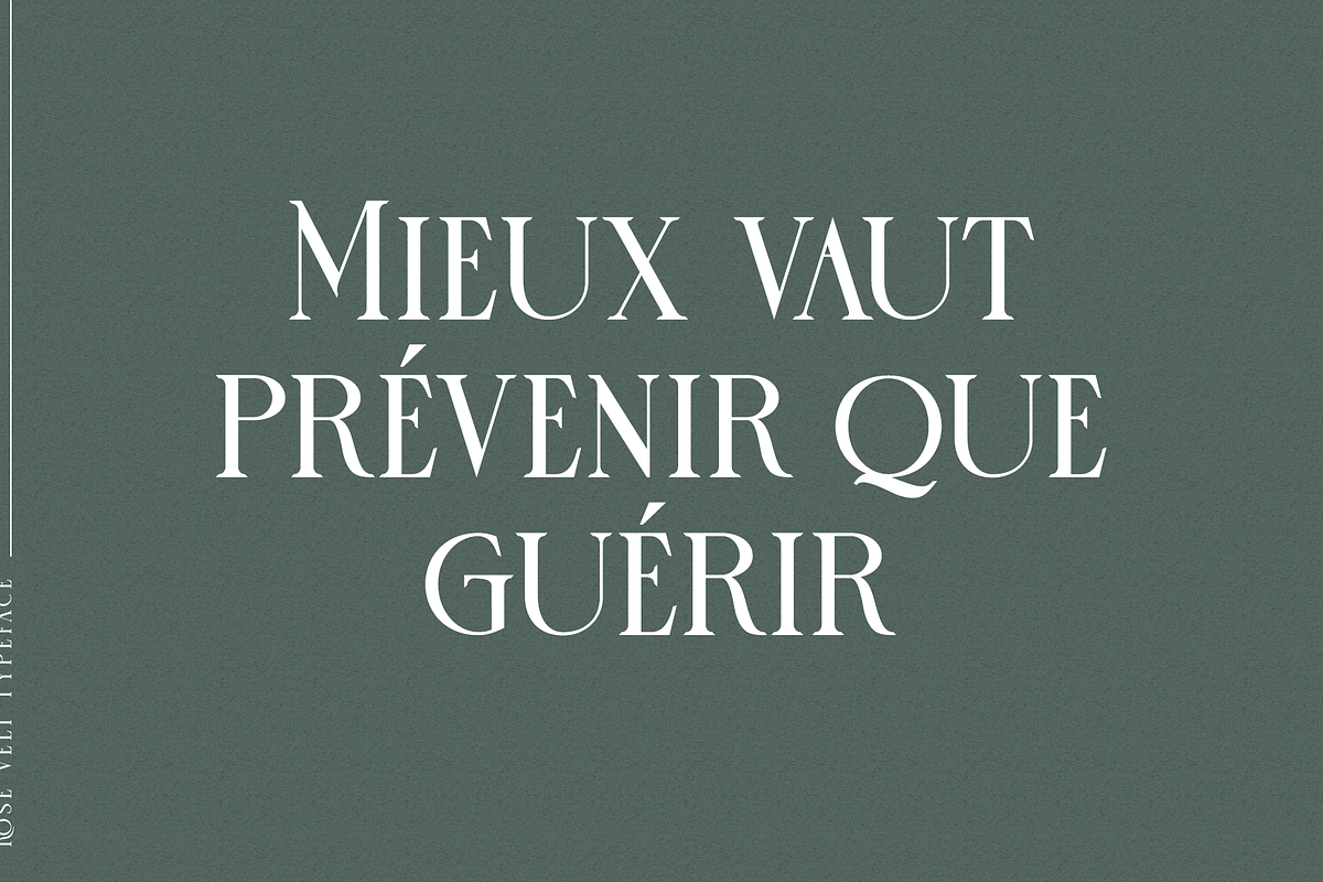 Rose Velt, a Serif Font by ilhamtaro (Photo 5 of 9)