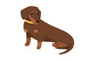 Cute dogs of different breeds set, an Animal Illustration by Good Studio (Thumbnail 7 of 7)