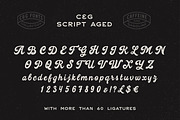 Caffeine & Gasoline Fonts + Extras, a Script Font by Davide Bassu (Thumbnail 13 of 20)