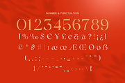 Riona - Luxury Swash Logo Font, a Serif Font by Sensatype (Thumbnail 11 of 12)