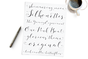 Fashionista Modern Calligraphy, a Script Font by Emily Spadoni (Thumbnail 5 of 9)