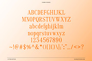 VS Teen Edition – Retro Serif Font, a Serif Font by Vicarel Studios (Thumbnail 8 of 21)