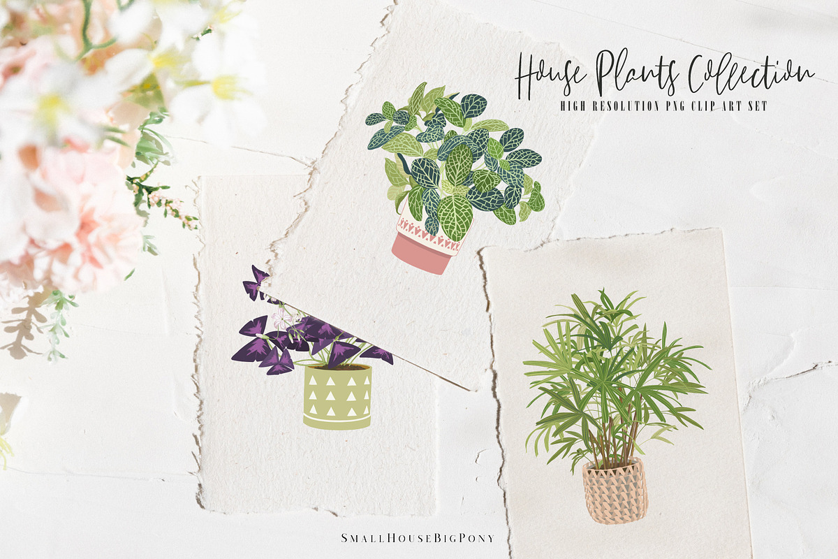 House Plants Collection Set II, a Graphic by SmallHouseBigPony (Photo 19 of 21)