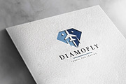 Diamond Fly Travel Logo, a Branding & Logo Template by Design_Planet (Thumbnail 5 of 5)