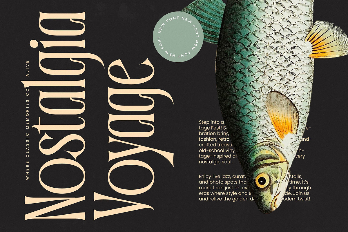 Garugis Modern Display Serif, a Serif Font by timelesstype.co (Photo 9 of 20)