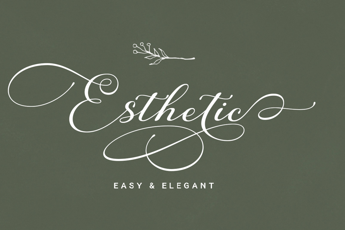 Canberra, a Script Font by Romiecreative (Photo 3 of 11)