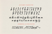 Simple Fine - Script Handwritten, a Handwritten Font by Lettermine (Thumbnail 8 of 10)