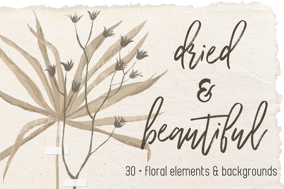 Dried flowers and backgrounds, an Object Graphic by dasha mo (Photo 1 of 6)