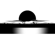 Circular Nature Landscape Silhouette, an Illustration by yasushie (Thumbnail 21 of 51)