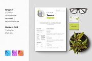 Swann Resume & Business Card, a Resume Template by Jinro (Thumbnail 1 of 8)