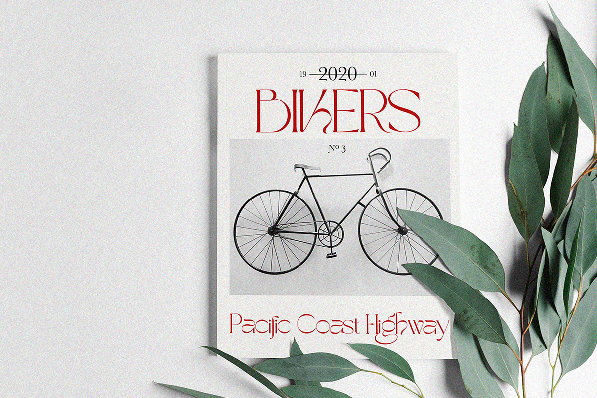 The Kaluge + BONUS ILLUSTRATIONS, a Serif Font by Alcode (Photo 9 of 23)