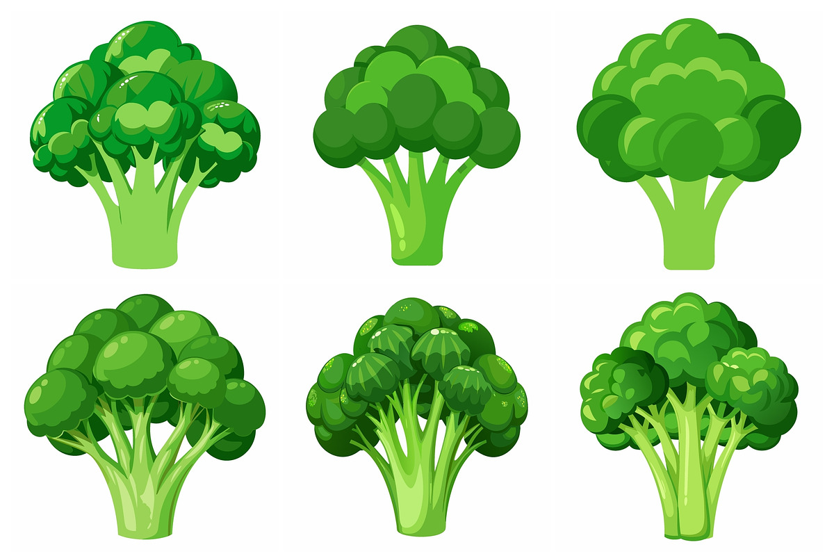 Fresh Green Broccoli Florets, an Object Graphic by Billah Hub