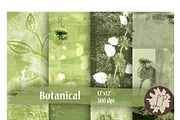 Botanical Painted Papers, a Pattern Graphic by Liz Plummer (Thumbnail 5 of 5)