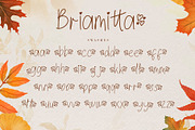 Briamitta, a Script Font by AEN Creative Studio (Thumbnail 8 of 9)