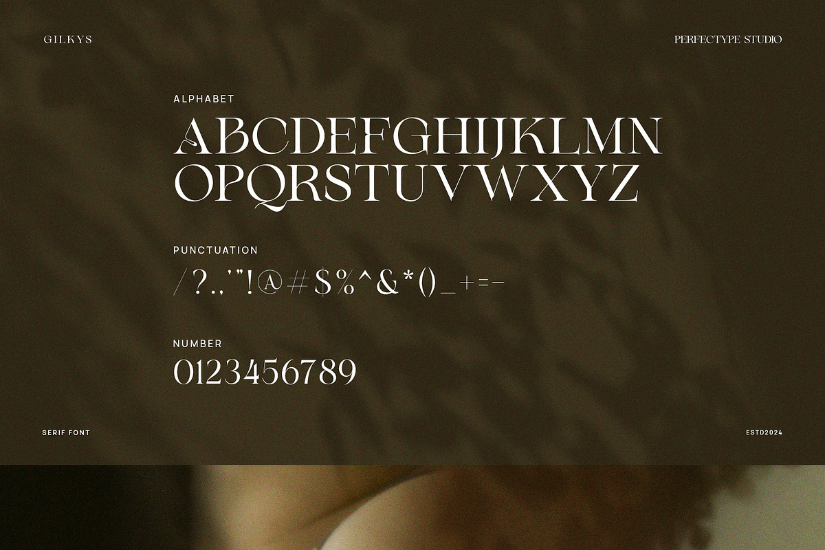 Gilkys Elegant Serif Font, a Serif Font by Perfectype (Photo 8 of 8)