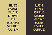 SFC Primorsa Sans - 20 Fonts, a Sans Serif Font by Skilline Supply Co. (Thumbnail 7 of 13)