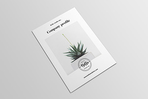 Agency Profile Brochure