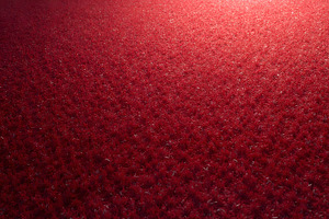 Soft Carpet Texture Background with, a Photo by LOGOCREATIVE