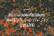 Something Wild, a Handwritten Font by supfonts (Thumbnail 2 of 5)