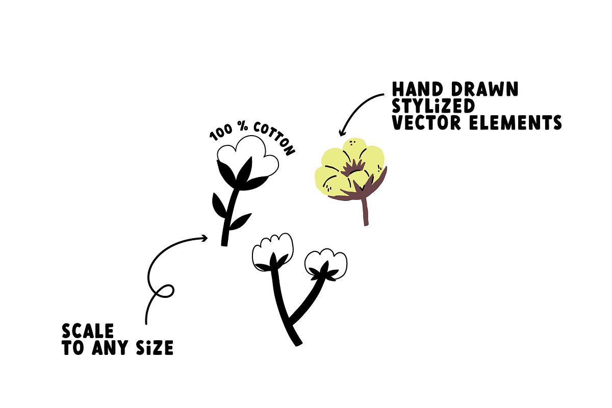 Cotton Flower, an Object Graphic by AnkaDrozd (Photo 2 of 7)