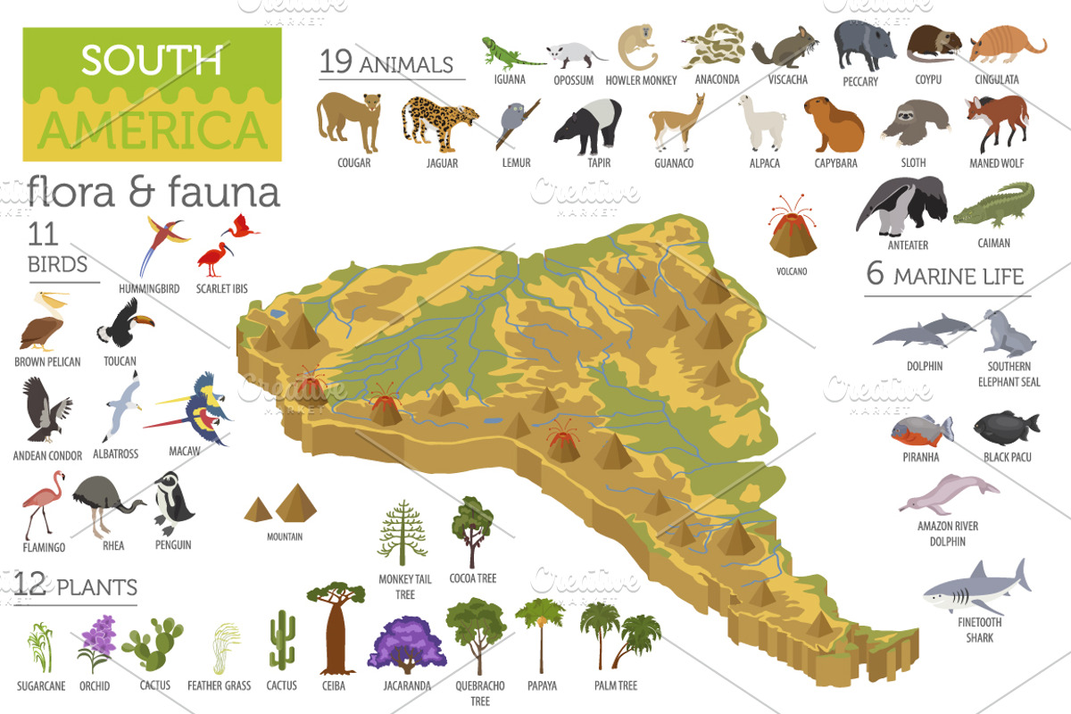South America isometric map, an Animal Illustration by pet design shop (Photo 2 of 5)