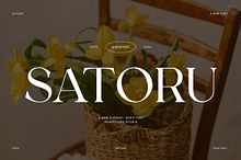 Satoru Elegant Serif Font