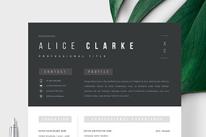 Resume Template 1, 2 Page Oslo