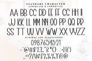 Charming Beautiful, a Handwritten Font by FreshTypeINK (Thumbnail 6 of 8)