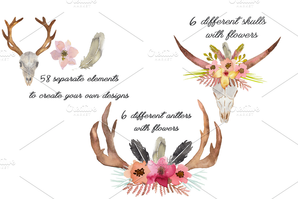 Wild Collection - Skulls and Antlers, a Decorative Illustration by MaraquelaStudio (Photo 2 of 10)