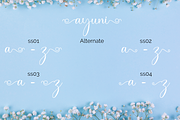Ayuni Script Calligraphy, a Script Font by MC Creative (Thumbnail 7 of 8)