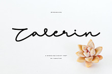 Zalerin Font | Smooth Monoline