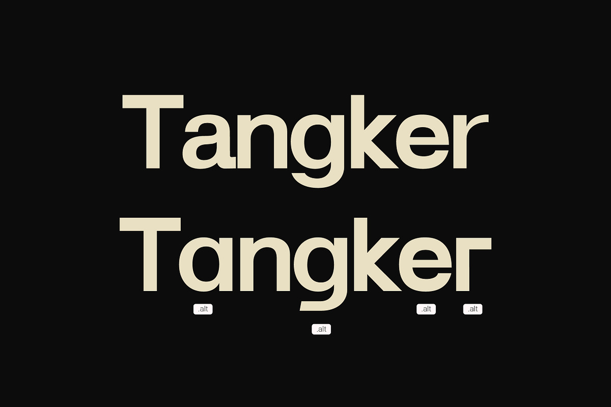 Lenia Sans Family | Intro 75% OFF, a Sans Serif Font by Lettertype Studio (Photo 3 of 15)