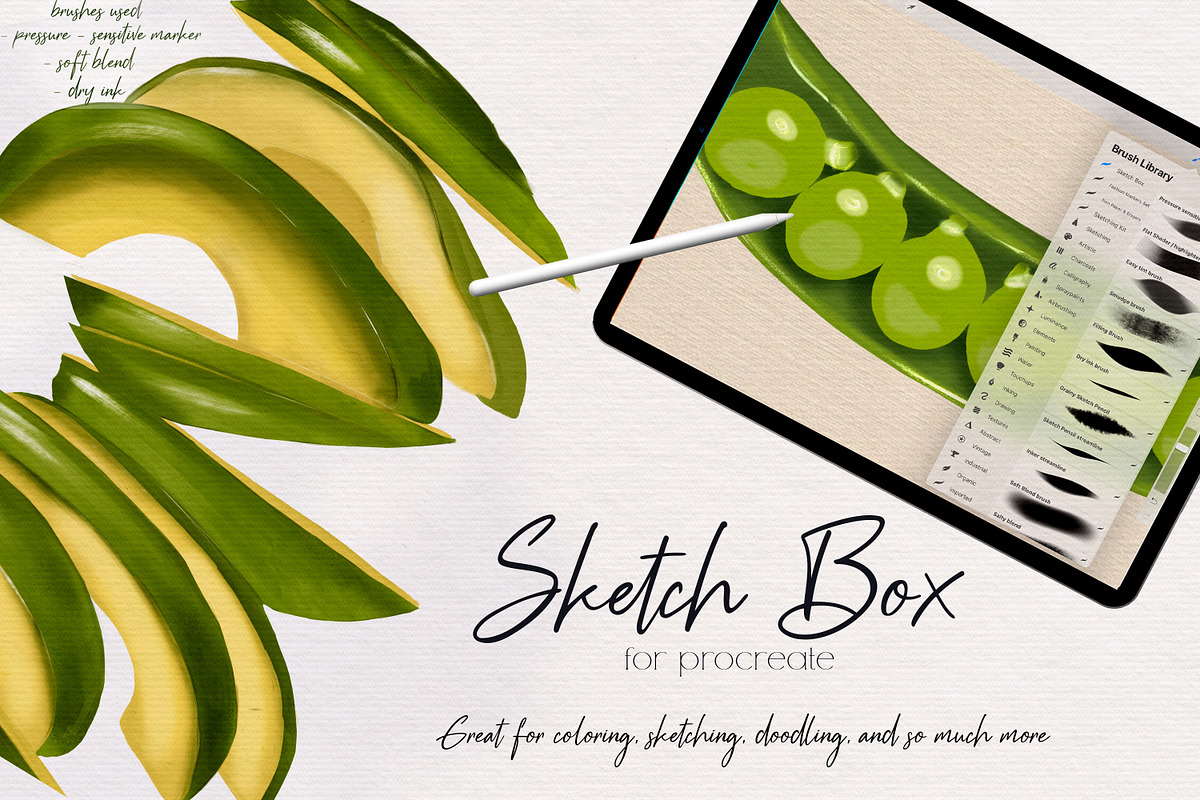 Sketch Box for Procreate, a Brush Add-On by Liquid Amethyst Art (Photo 3 of 8)