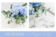 #Hydrangea. 4 Instagram images, a Product Mockup by Bang Bang Bureau (Thumbnail 3 of 4)