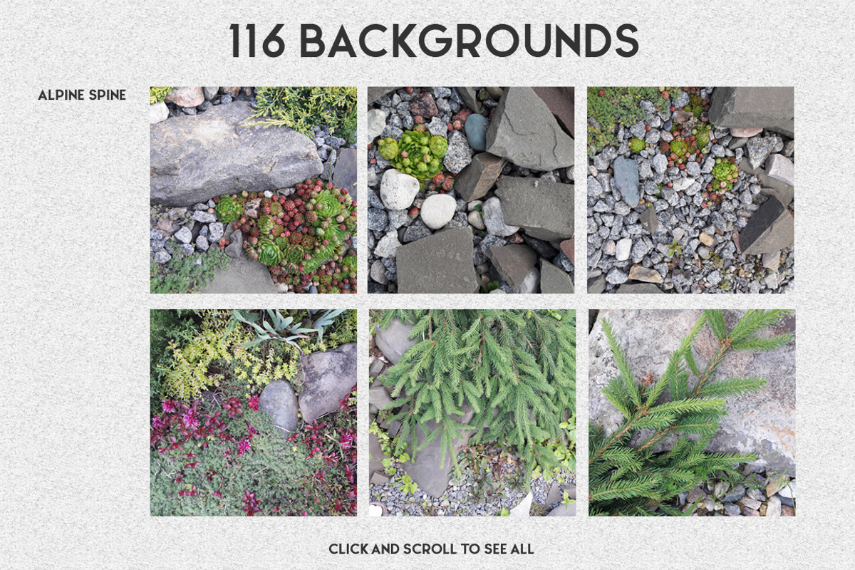 Natural Background Post Generator, a Social Media Template by WBS Design (Photo 3 of 11)