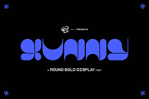 XUNNY Bold Display Typeface